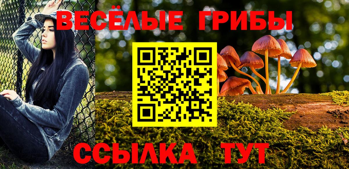 Галлюциногенные грибы мухоморы Всеволожск