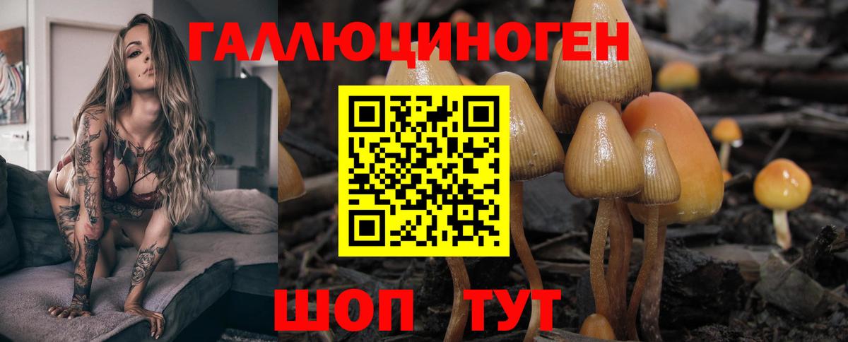 Всеволожск  Псилоцибиновые грибы ЛСД  Вход с VPN 